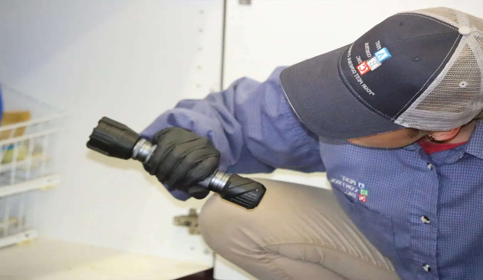 Summer Pest Prevention: Keep Bugs Out of Your Florida Home