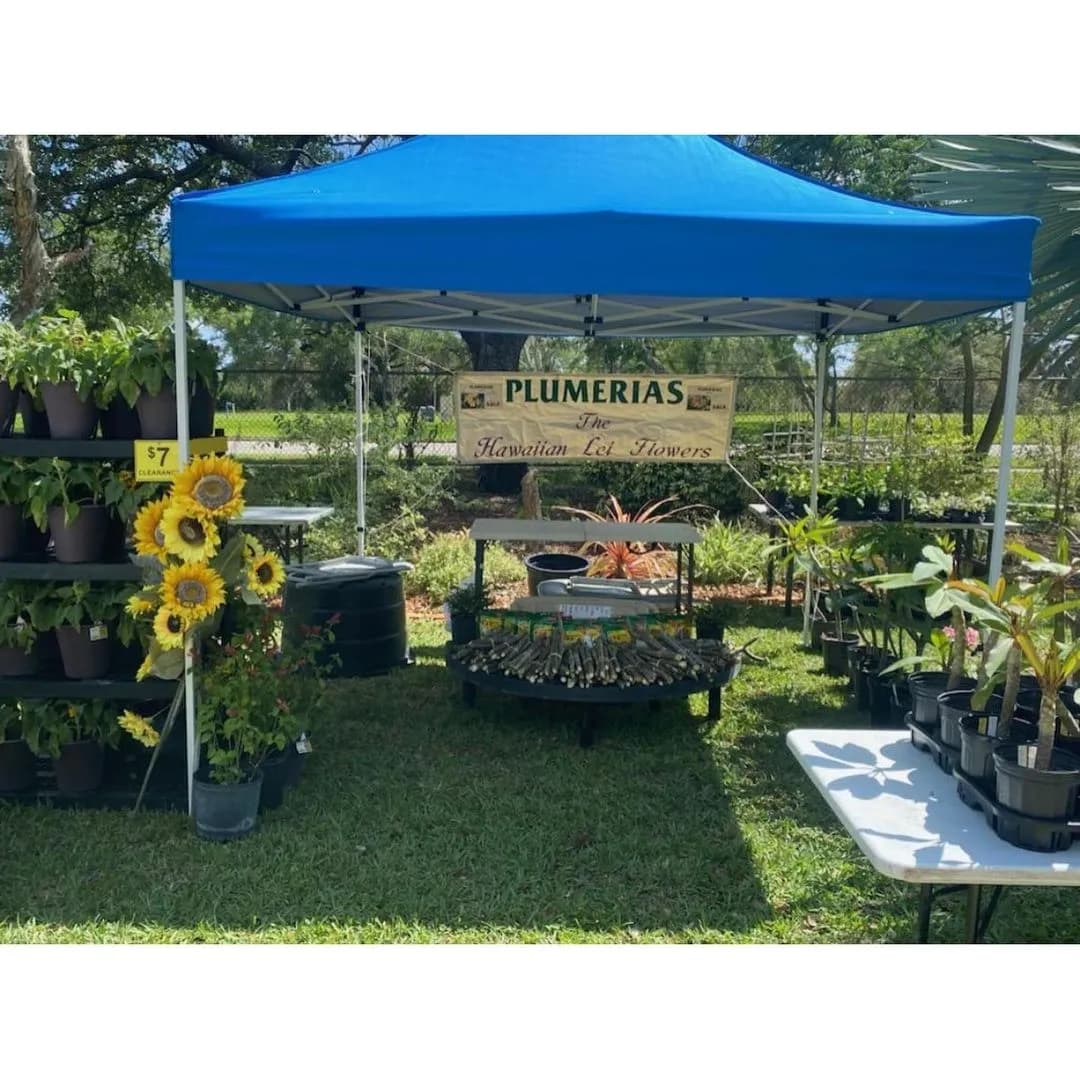 ABC Tropical Plant Nursery booth with Hawaiian Lei Flowers banner, plumeria plants, and sunflowers on display