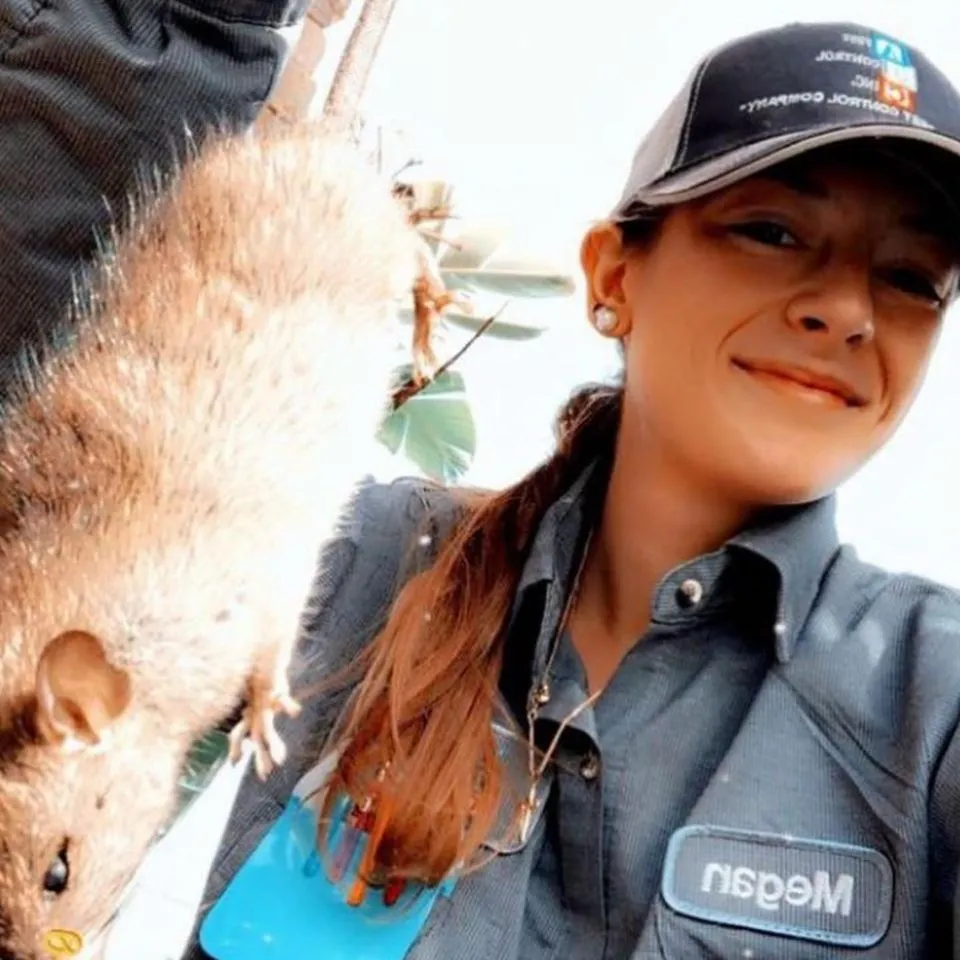 ABC Pest Control technician in uniform holding a captured rodent during pest removal