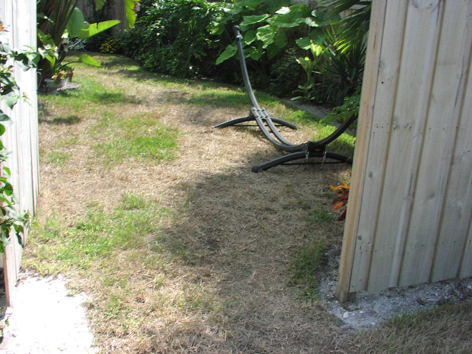 Landscape plant care service