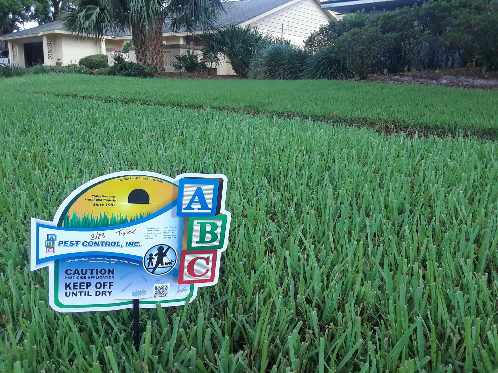 Professional lawn pest control service