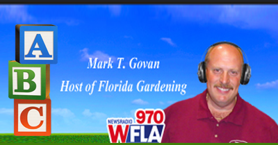 ABC Pest Control Largo Florida