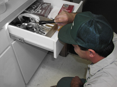Rodent Control & Exclusion Service