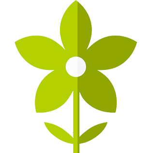 Pest Control Spring Months
