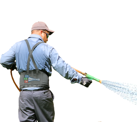 Pest Control Hillsborough County Pest Control Hillsborough County